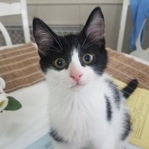 Meet your Posher, Mel